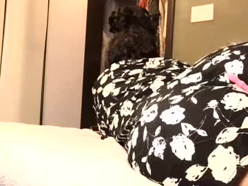 Malikastar27 Chaturbate profile image
