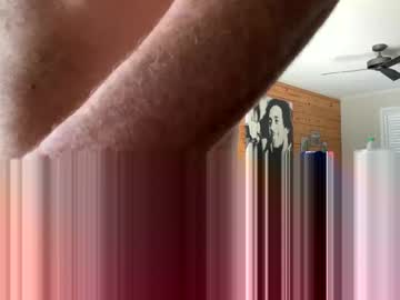 Hungsilverfox69 Chaturbate profile image