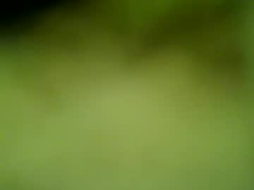 Darrenrider Chaturbate profile image