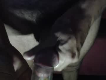 Hornybeers