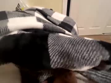 Melbro0330 Chaturbate profile image