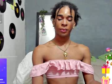 Profile of laraparx