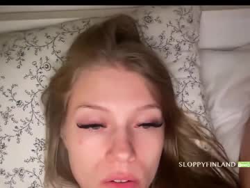 Profile of sloppyfinland