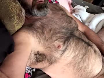 Danimal1386 Chaturbate profile image