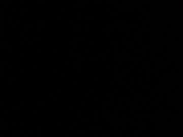 91fajar Chaturbate profile image