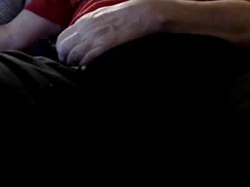 Beautiful_Tail1