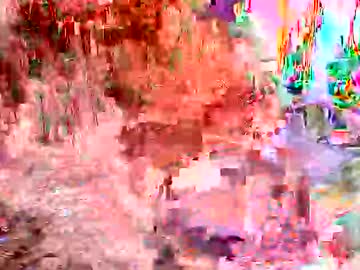 Hardcore11inches