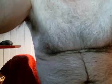 Sb11041 Chaturbate profile image