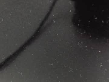 Dani_Alpina