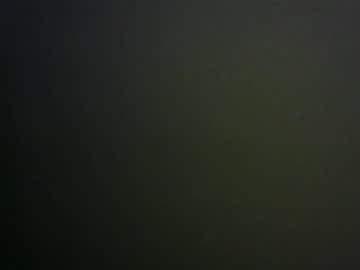 Profile of _evander98_