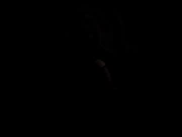 Ebladeap Chaturbate profile image