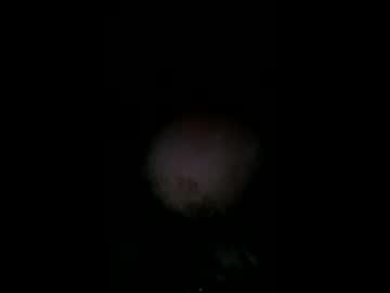Benny83743637 Chaturbate profile image