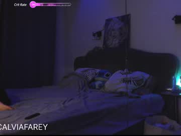 Profile of calvia_farey