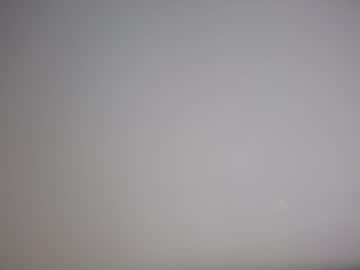 Profile of zvinky69