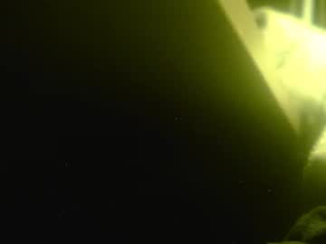 Zaboski_2 Chaturbate profile image