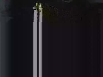 Nogueiira Chaturbate profile image