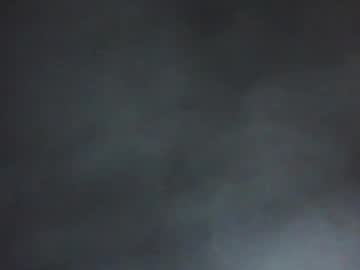 Tenmules1 Chaturbate profile image