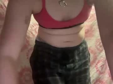 Zebracakezz