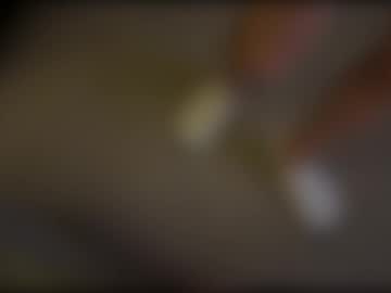 Profile of couple2033