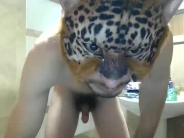 Scghck140291 Chaturbate profile image