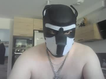 Profile of jackstoun_puppy