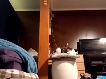 Profile of ashblossom2