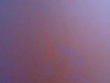 Wannaplay730147 Chaturbate profile image