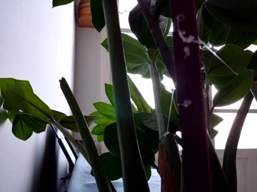 Profile of therarehermine