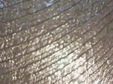 Sweettning Chaturbate profile image