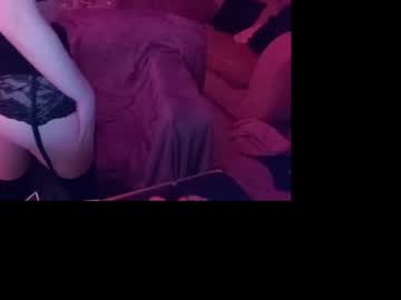 Profile of miniskirtkitten