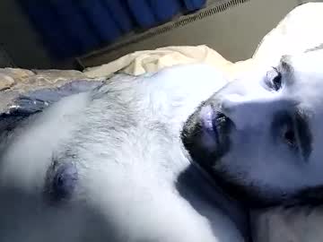Silver459 Chaturbate profile image