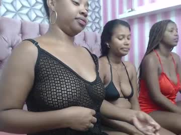 Profile of latin_milk_19