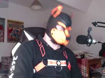 Profile of pupdion