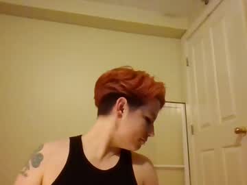 Profile of thetranslibraguy