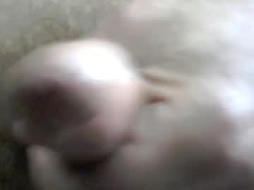 24charger24 Chaturbate profile image