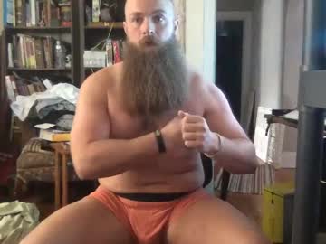 Vikingfuzz