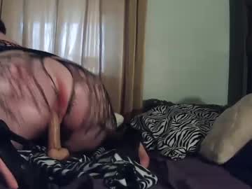 Bellazayy Chaturbate profile image