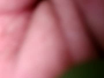 Kody973605 Chaturbate profile image