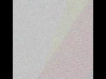 Longerdongs Chaturbate profile image