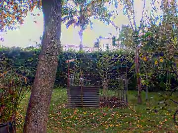 Profile of discretopasivo