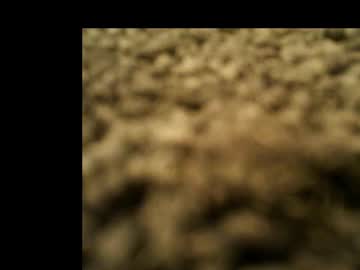 Migsdigs Chaturbate profile image