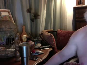 Wonderwanderbear Chaturbate profile image