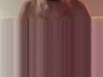 Cameron12444 Chaturbate profile image