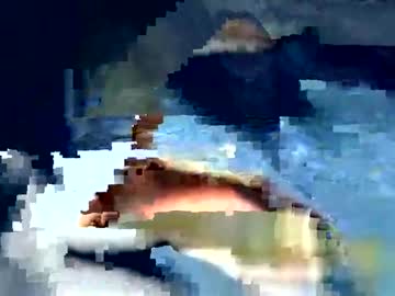 69_B4 Chaturbate profile image