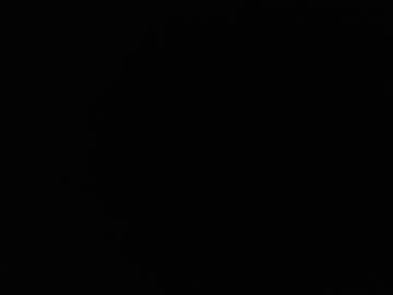 Bottechia20 Chaturbate profile image