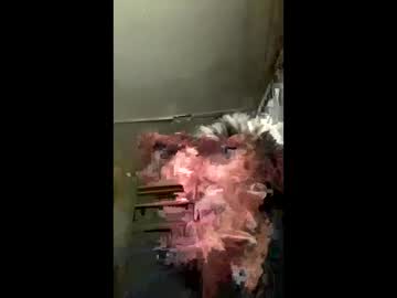 Allen2828 Chaturbate profile image