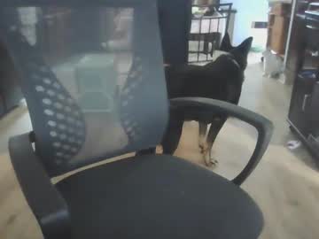 Joejoe091884 Chaturbate profile image