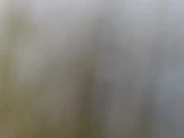 Profile of lucianastell