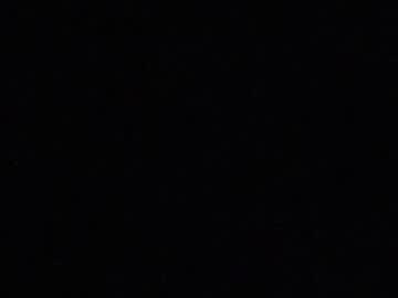 Fvdfox Chaturbate profile image
