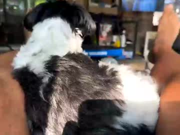 Profile of malanasexy